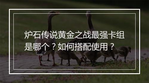 炉石传说黄金之战最强卡组是哪个?如何搭配使用?