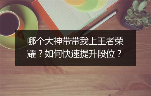 哪个大神带带我上王者荣耀？如何快速提升段位？