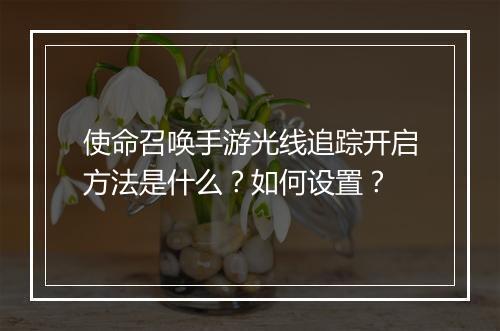 使命召唤手游光线追踪开启方法是什么?如何设置?