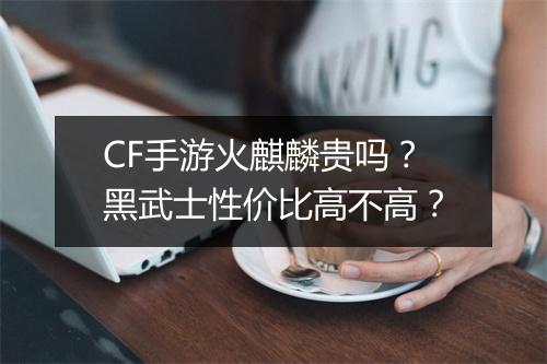 CF手游火麒麟贵吗?黑武士性价比高不高?