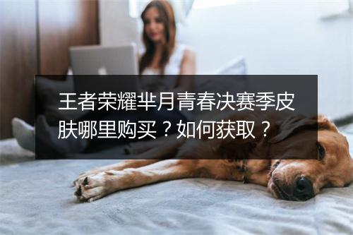 王者荣耀芈月青春决赛季皮肤哪里购买?如何获取?