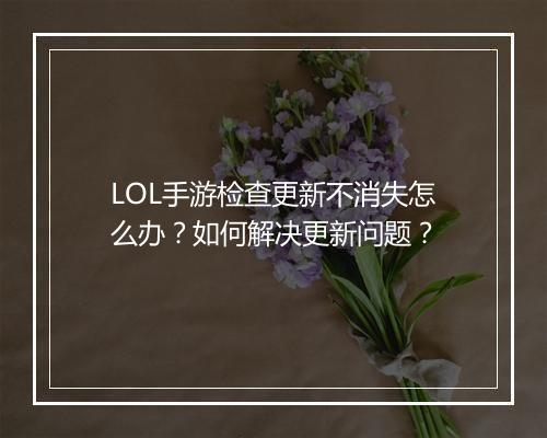 LOL手游检查更新不消失怎么办?如何解决更新问题?