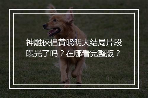神雕侠侣黄晓明大结局片段曝光了吗?在哪看完整版?