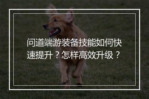 问道端游装备技能如何快速提升?怎样高效升级?