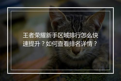 王者荣耀新手区域排行怎么快速提升?如何查看排名详情?
