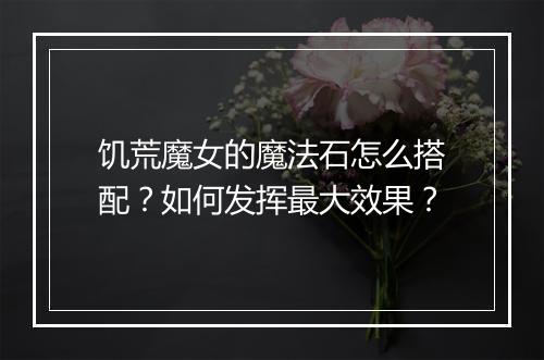 饥荒魔女的魔法石怎么搭配？如何发挥最大效果？