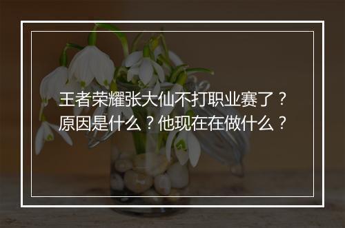 王者荣耀张大仙不打职业赛了?原因是什么?他现在在做什么?