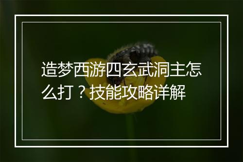 造梦西游四玄武洞主怎么打?技能攻略详解