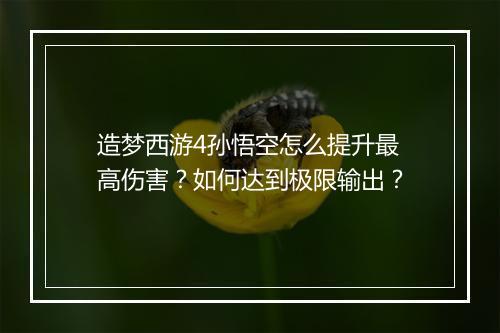 造梦西游4孙悟空怎么提升最高伤害？如何达到极限输出？