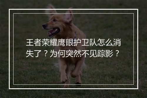 王者荣耀鹰眼护卫队怎么消失了?为何突然不见踪影?