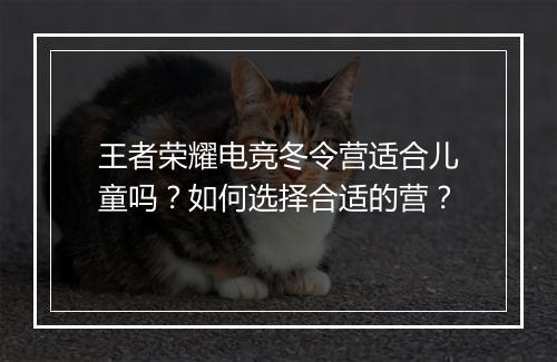 王者荣耀电竞冬令营适合儿童吗?如何选择合适的营?