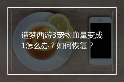 造梦西游3宠物血量变成1怎么办?如何恢复?