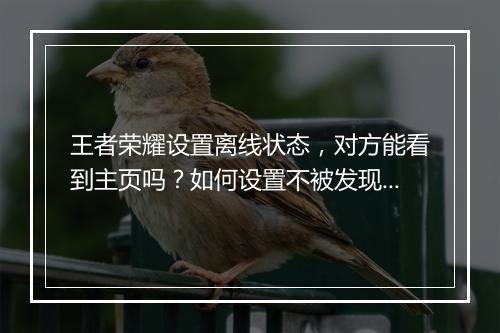 王者荣耀设置离线状态,对方能看到主页吗?如何设置不被发现?