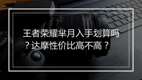 王者荣耀芈月入手划算吗?达摩性价比高不高?