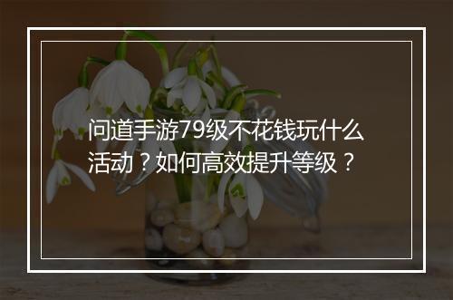 问道手游79级不花钱玩什么活动?如何高效提升等级?