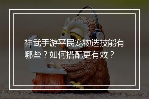 神武手游平民宠物选技能有哪些？如何搭配更有效？