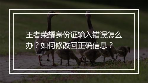王者荣耀身份证输入错误怎么办?如何修改回正确信息?