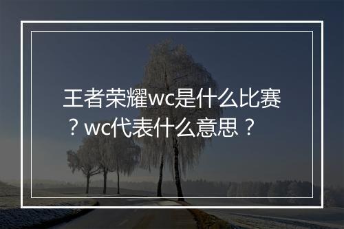 王者荣耀wc是什么比赛?wc代表什么意思?