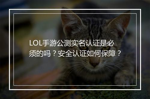 LOL手游公测实名认证是必须的吗?安全认证如何保障?