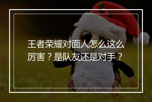 王者荣耀对面人怎么这么厉害?是队友还是对手?