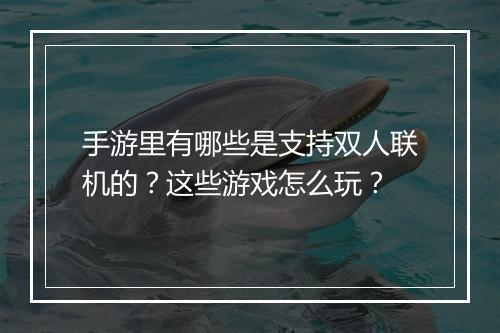 手游里有哪些是支持双人联机的？这些游戏怎么玩？