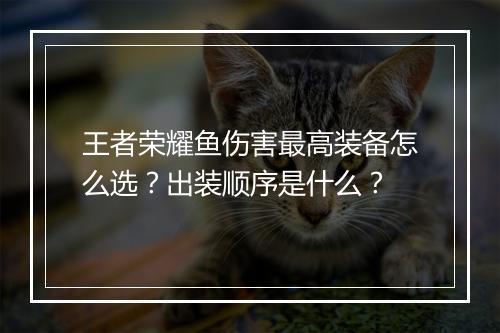 王者荣耀鱼伤害最高装备怎么选？出装顺序是什么？