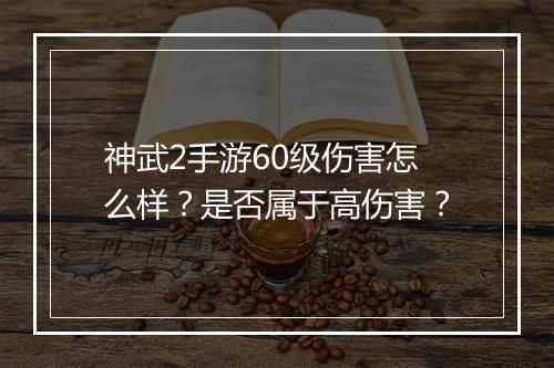 神武2手游60级伤害怎么样?是否属于高伤害?