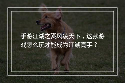 手游江湖之戮风凌天下,这款游戏怎么玩才能成为江湖高手?