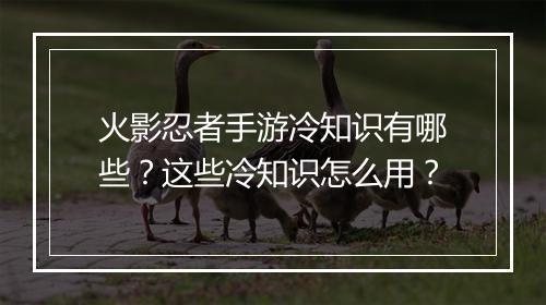 火影忍者手游冷知识有哪些?这些冷知识怎么用?