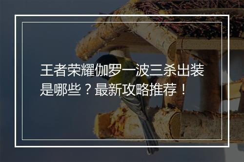 王者荣耀伽罗一波三杀出装是哪些?最新攻略推荐!