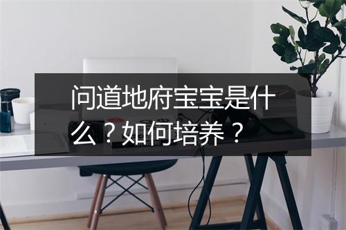 问道地府宝宝是什么？如何培养？
