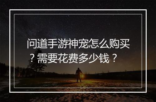 问道手游神宠怎么购买?需要花费多少钱?