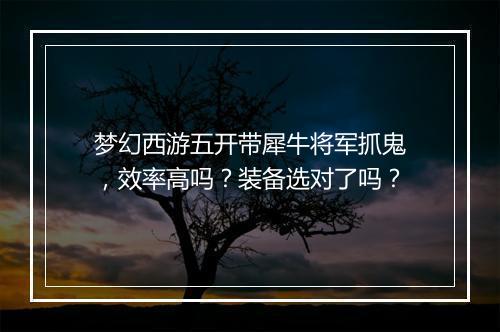 梦幻西游五开带犀牛将军抓鬼,效率高吗?装备选对了吗?