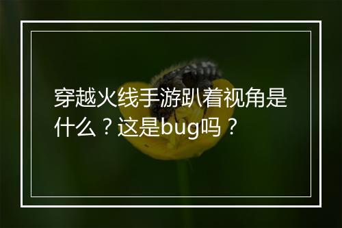 穿越火线手游趴着视角是什么？这是bug吗？