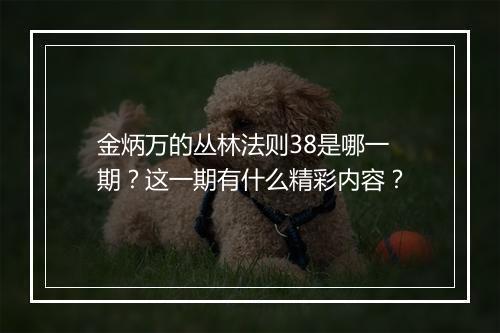金炳万的丛林法则38是哪一期?这一期有什么精彩内容?