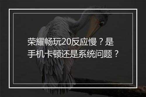 荣耀畅玩20反应慢?是手机卡顿还是系统问题?