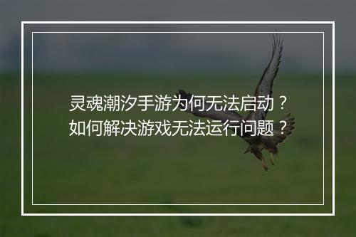 灵魂潮汐手游为何无法启动?如何解决游戏无法运行问题?