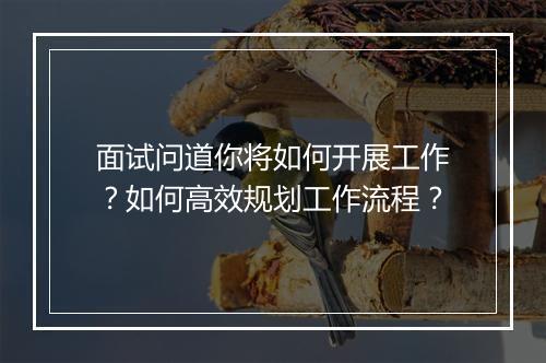 面试问道你将如何开展工作?如何高效规划工作流程?