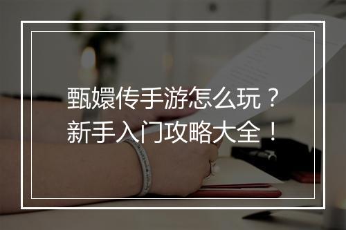 甄嬛传手游怎么玩？新手入门攻略大全！