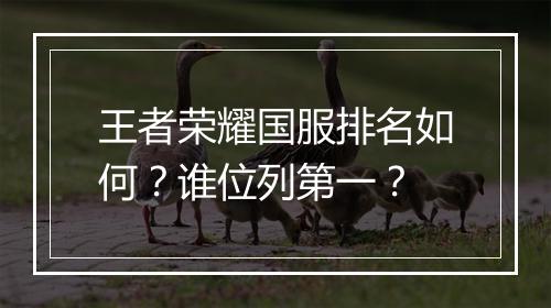 王者荣耀国服排名如何?谁位列第一?