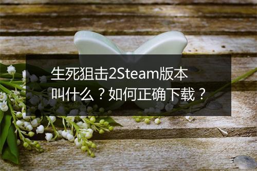 生死狙击2Steam版本叫什么?如何正确下载?