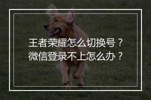 王者荣耀怎么切换号?微信登录不上怎么办?