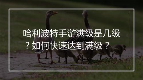 哈利波特手游满级是几级?如何快速达到满级?