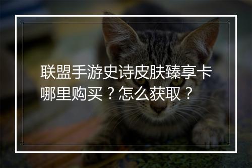 联盟手游史诗皮肤臻享卡哪里购买?怎么获取?