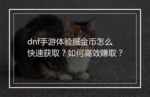 dnf手游体验服金币怎么快速获取?如何高效赚取?