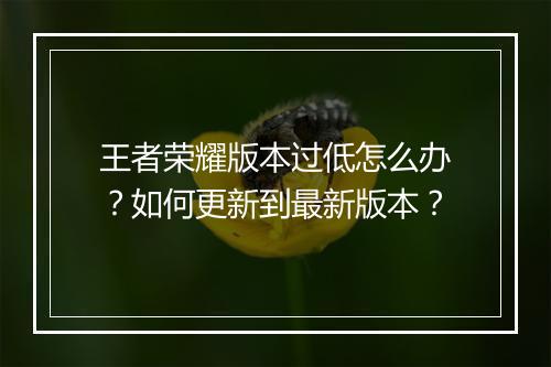王者荣耀版本过低怎么办?如何更新到最新版本?