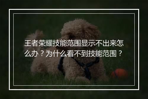 王者荣耀技能范围显示不出来怎么办?为什么看不到技能范围?