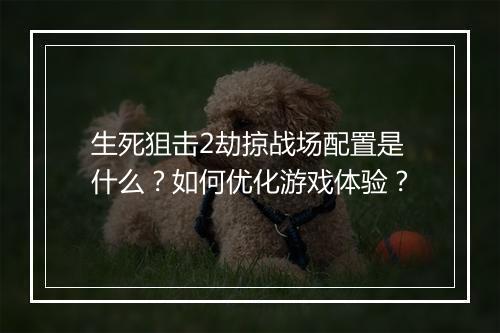 生死狙击2劫掠战场配置是什么?如何优化游戏体验?