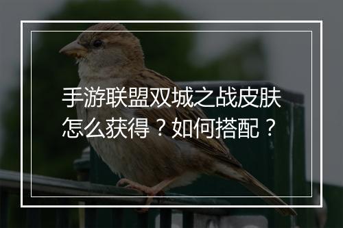 手游联盟双城之战皮肤怎么获得？如何搭配？