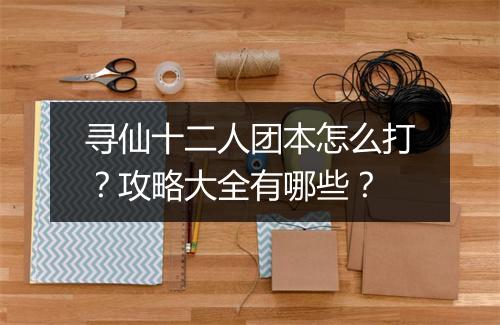 寻仙十二人团本怎么打?攻略大全有哪些?